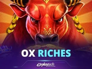 Ox Riches game icon